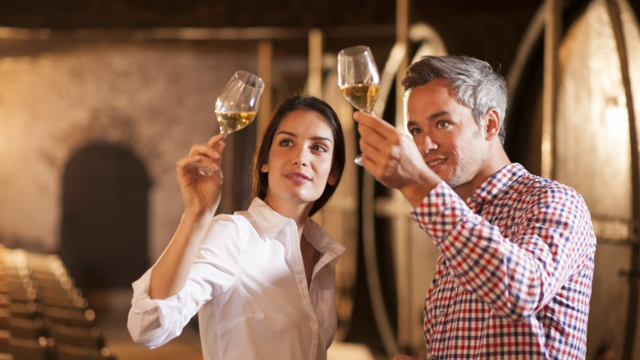 Cheese and Wine tasting on the property